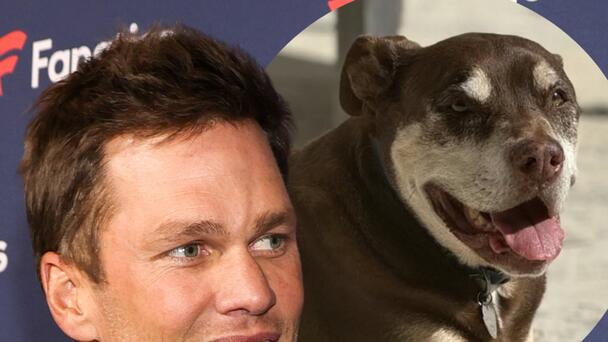 Tom Brady Reveals His Dog Junie Is A Genetic Clone Of His Late Dog That Die