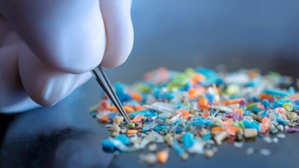 Microplastics: Australia’s Newest Thing to Fear