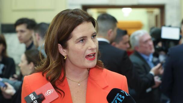 Steven Joyce: Former Finance Minister on the proposed election policy-costi