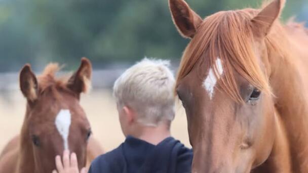 Waikato ATV fatal crash: Family creates Givealittle to raise money for emer