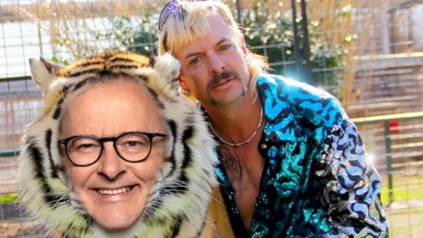 Exotic for Albanese – A Bizarre Bid for Freedom