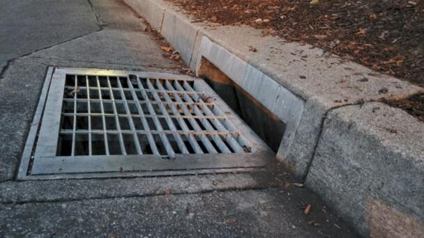 Rescue Mission Launched for ‘Dog’ in Drain