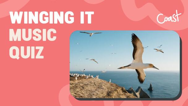 Winging It Music Quiz