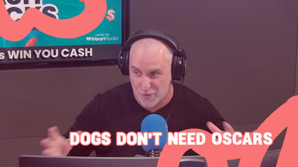 When a guide dog on-stage has an accident