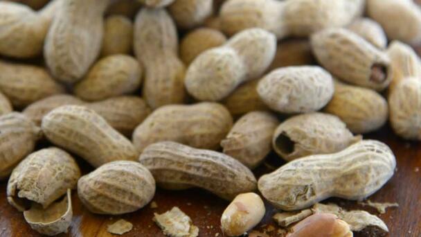Study shows massive decline in peanut allergies after previous experts prov
