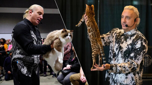 Cat Lovers Rejoice – Oz Feline Fair Lands in Sydney!