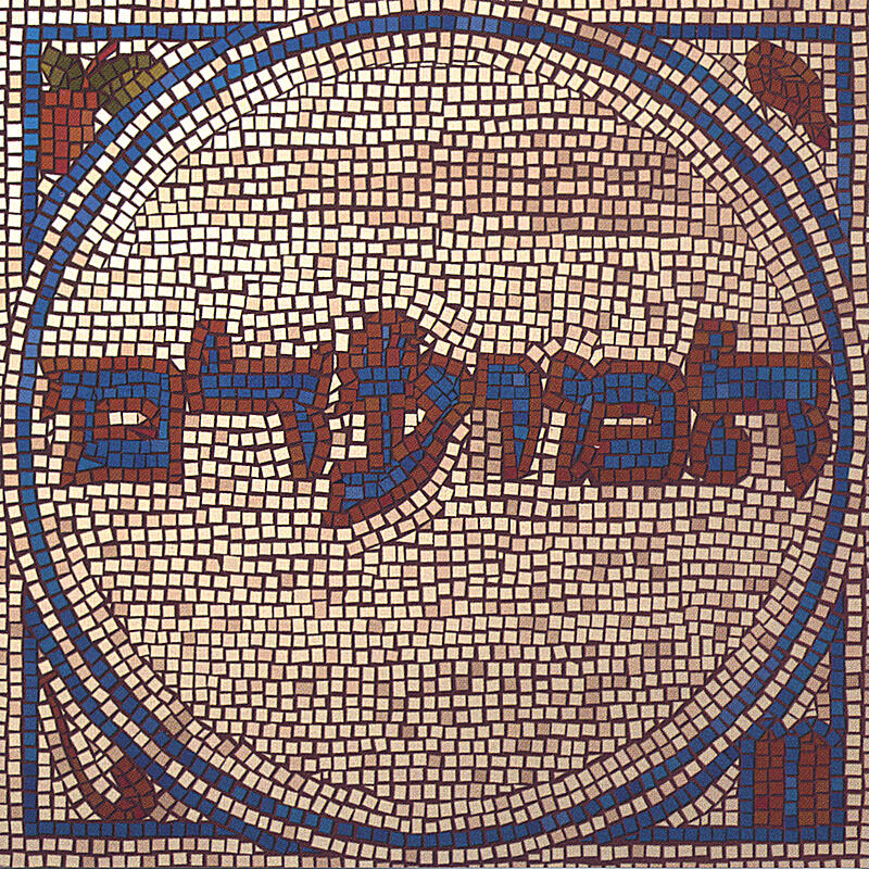 Track Image
