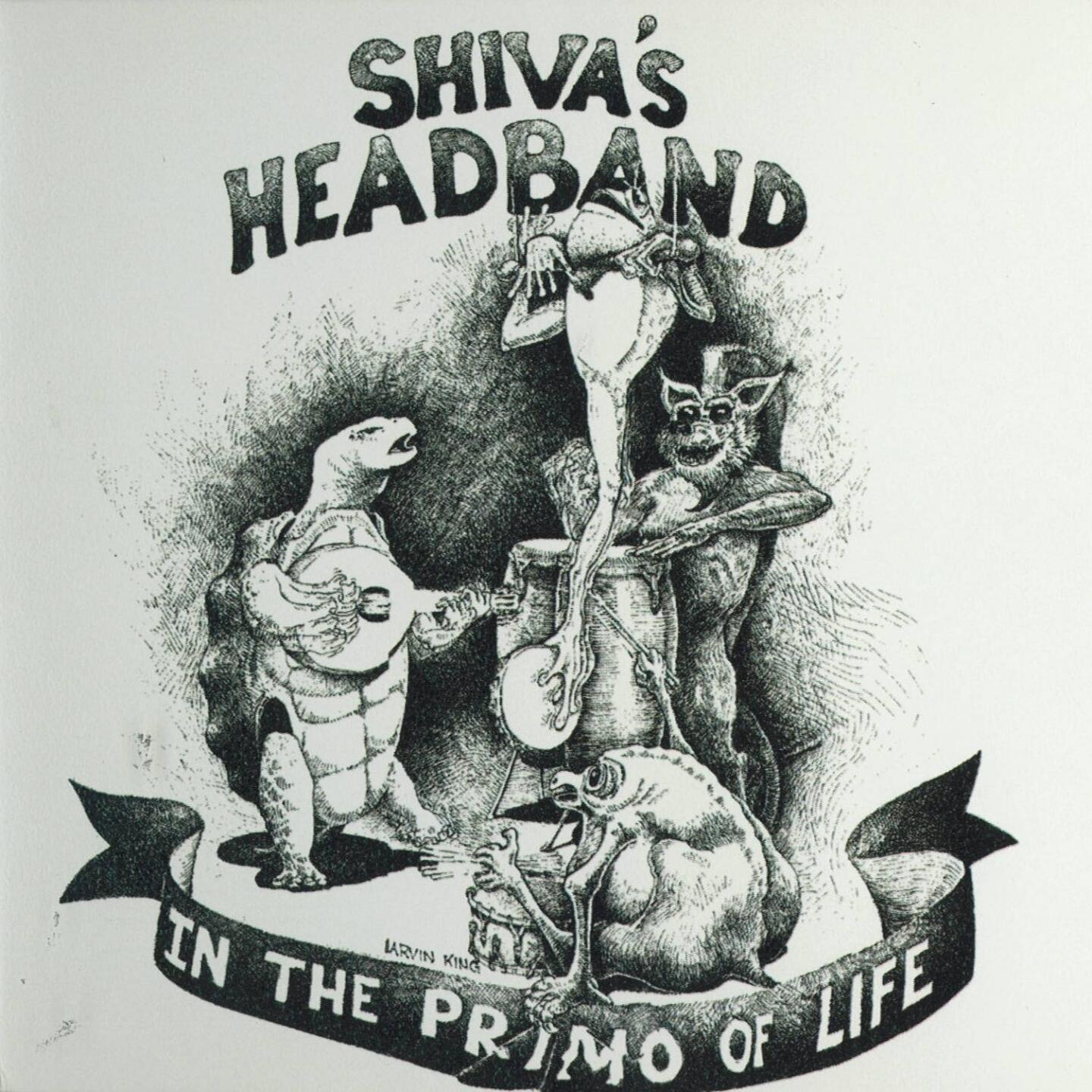 Track Image