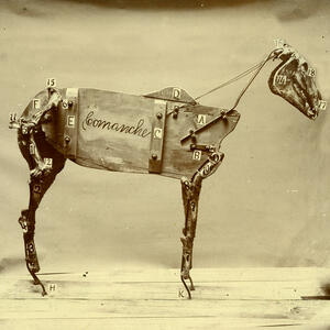Track Image