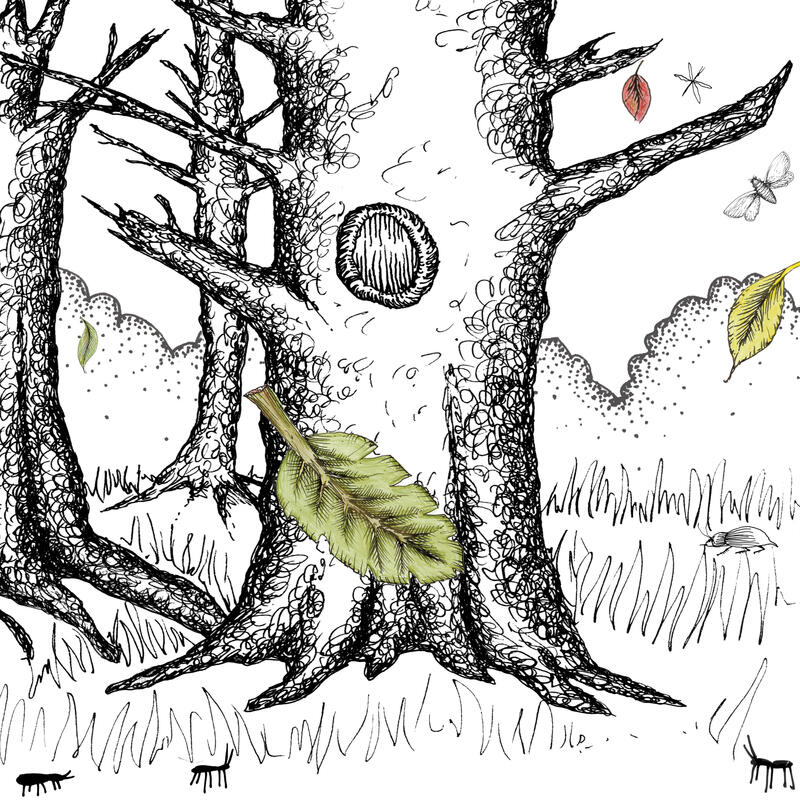 Track Image