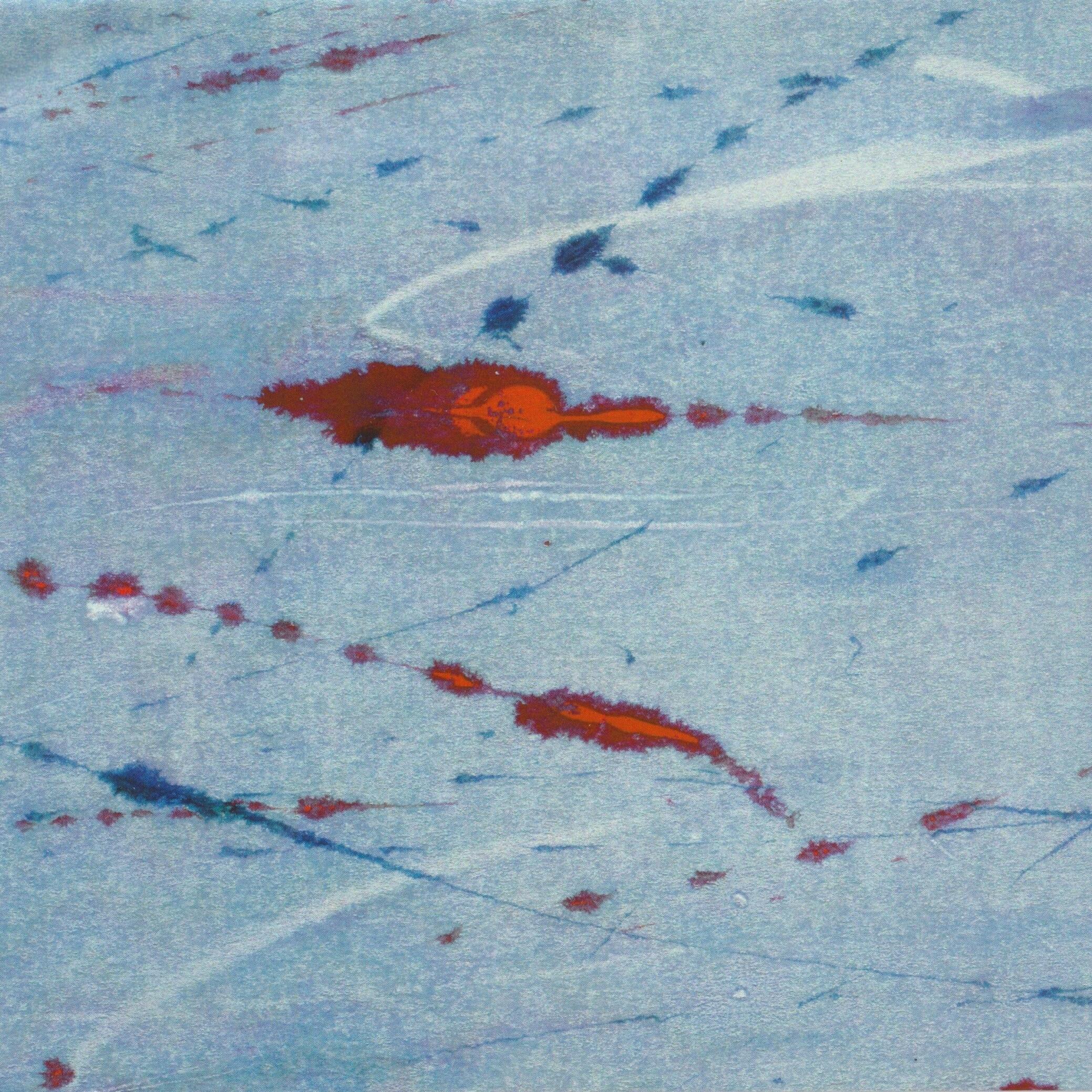 Track Image