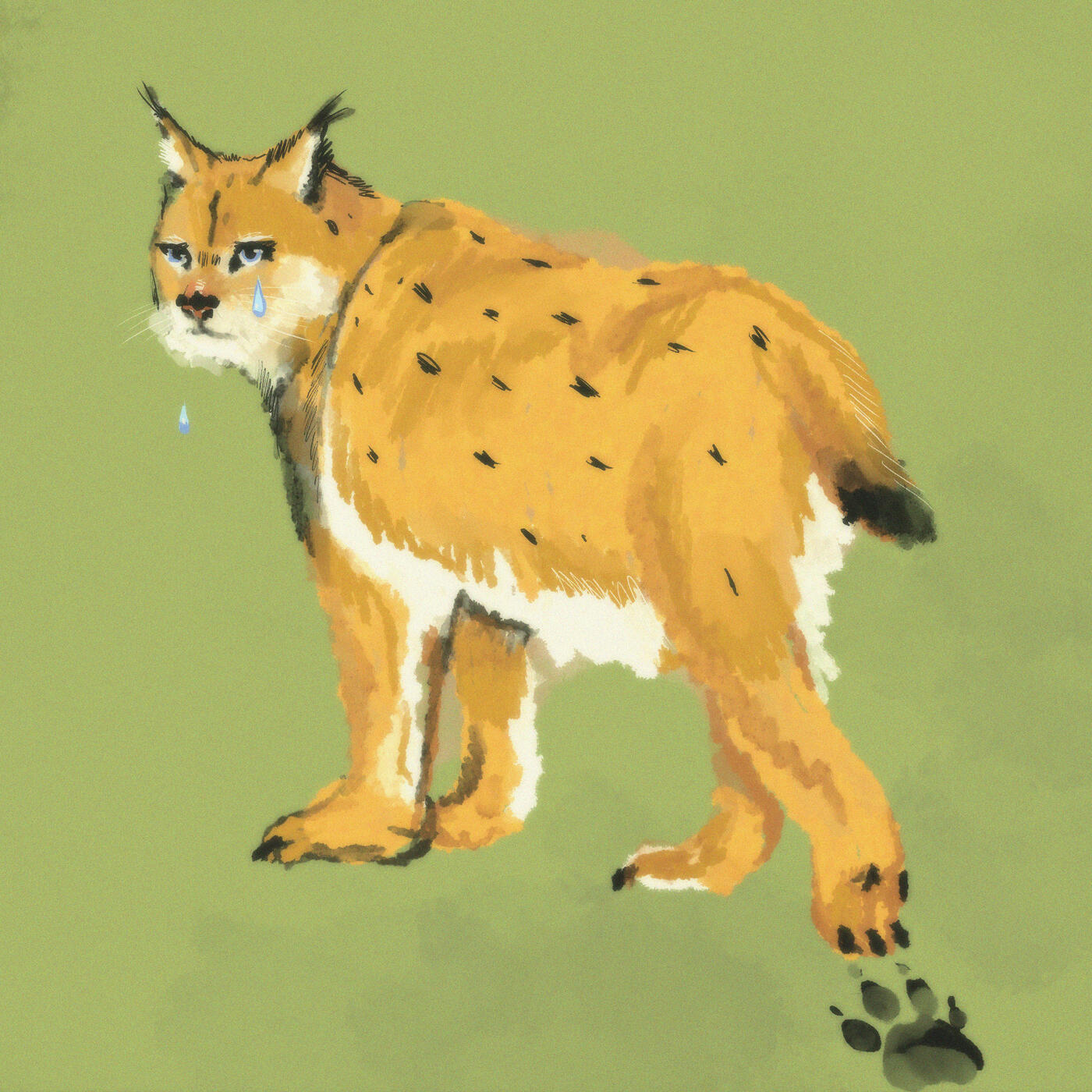 Track Image