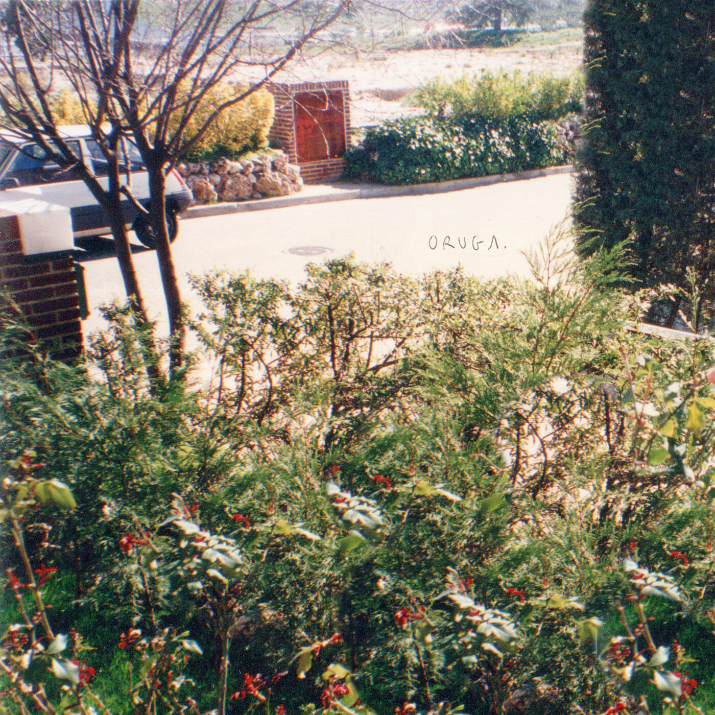 Track Image