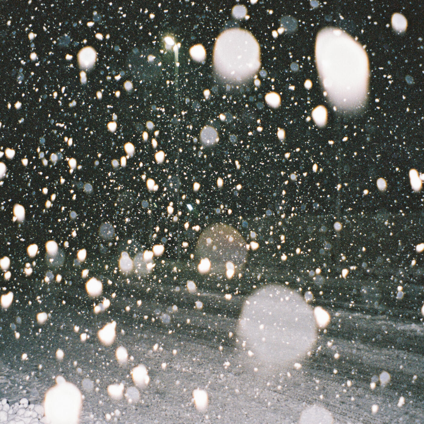 Track Image