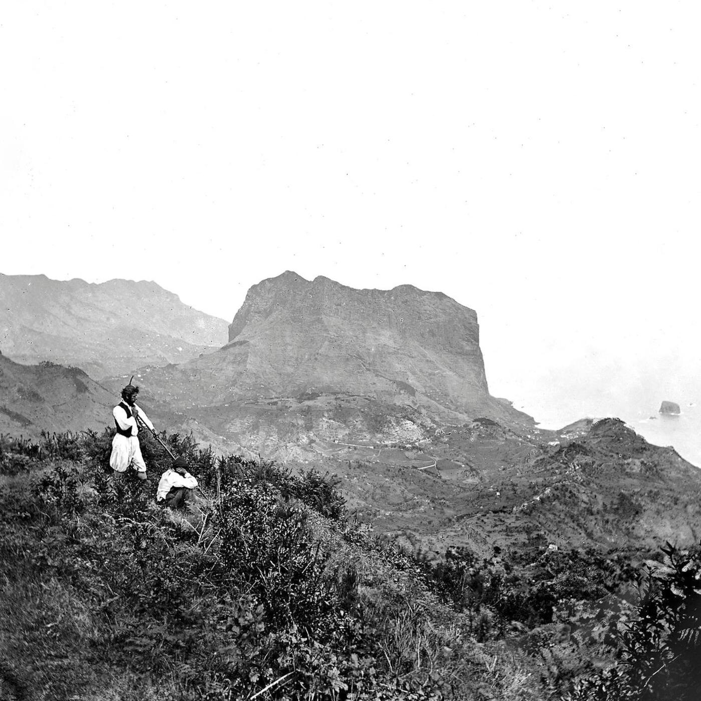 Track Image