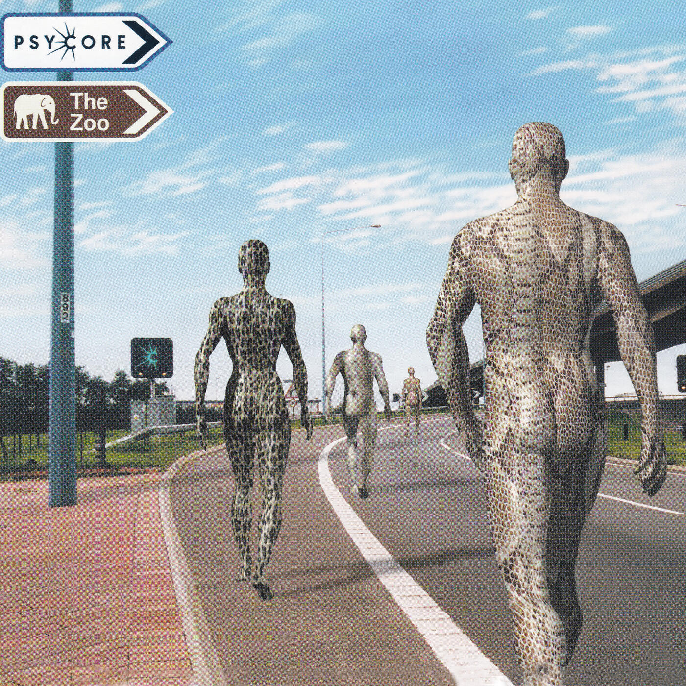 Track Image