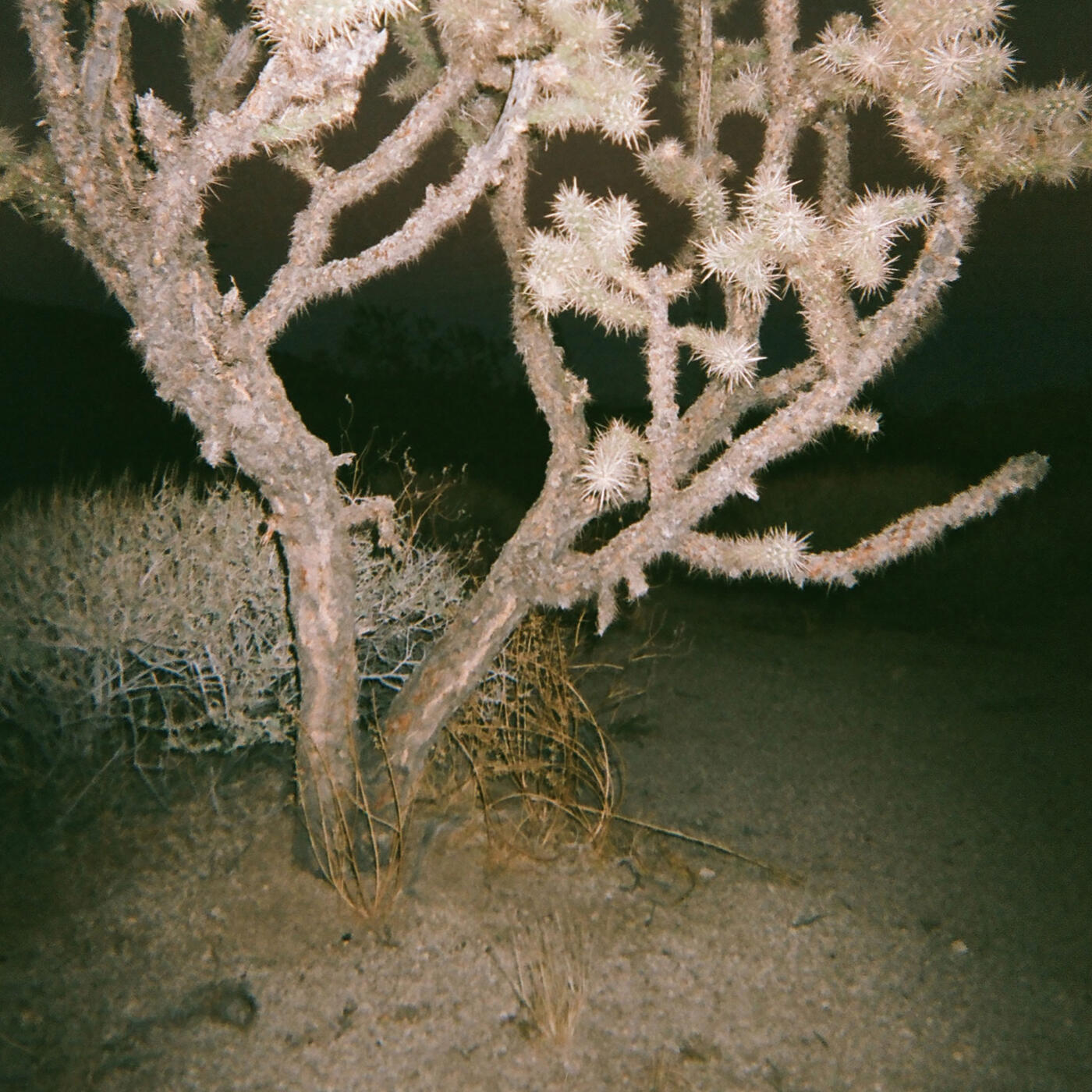 Track Image