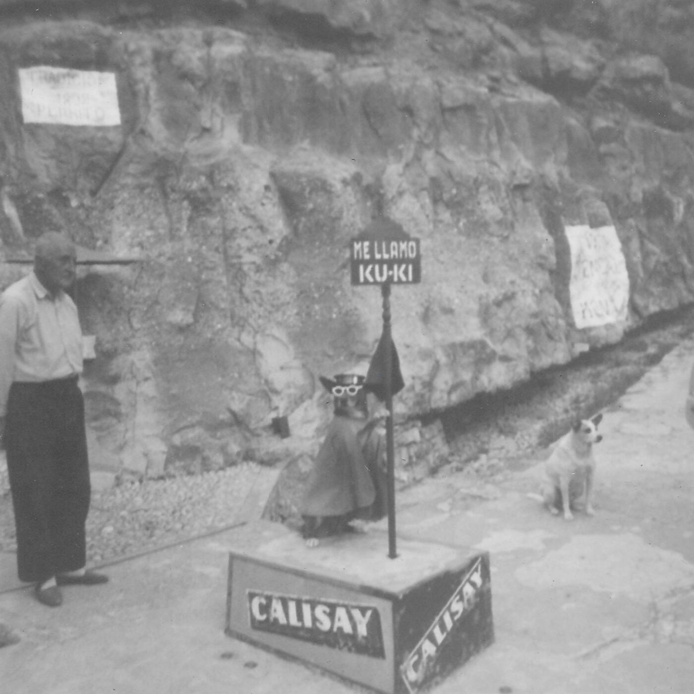 Track Image