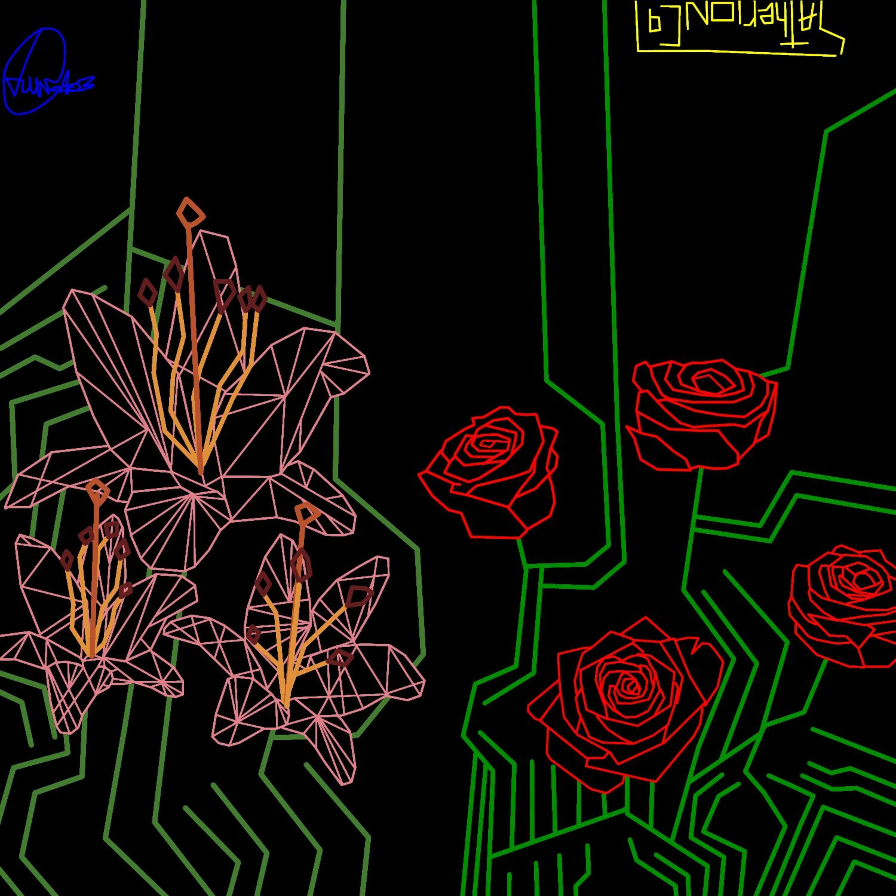 Track Image