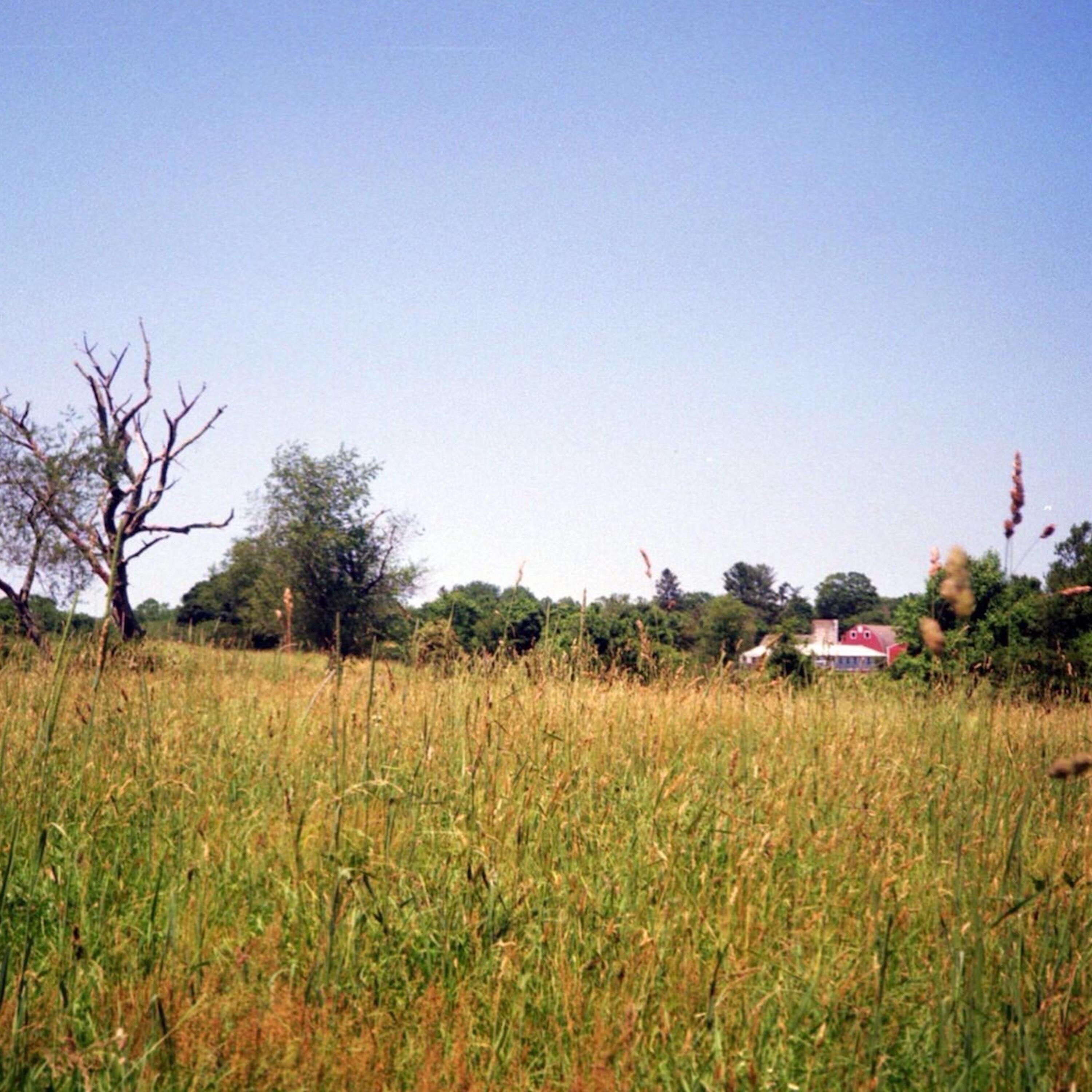 Track Image