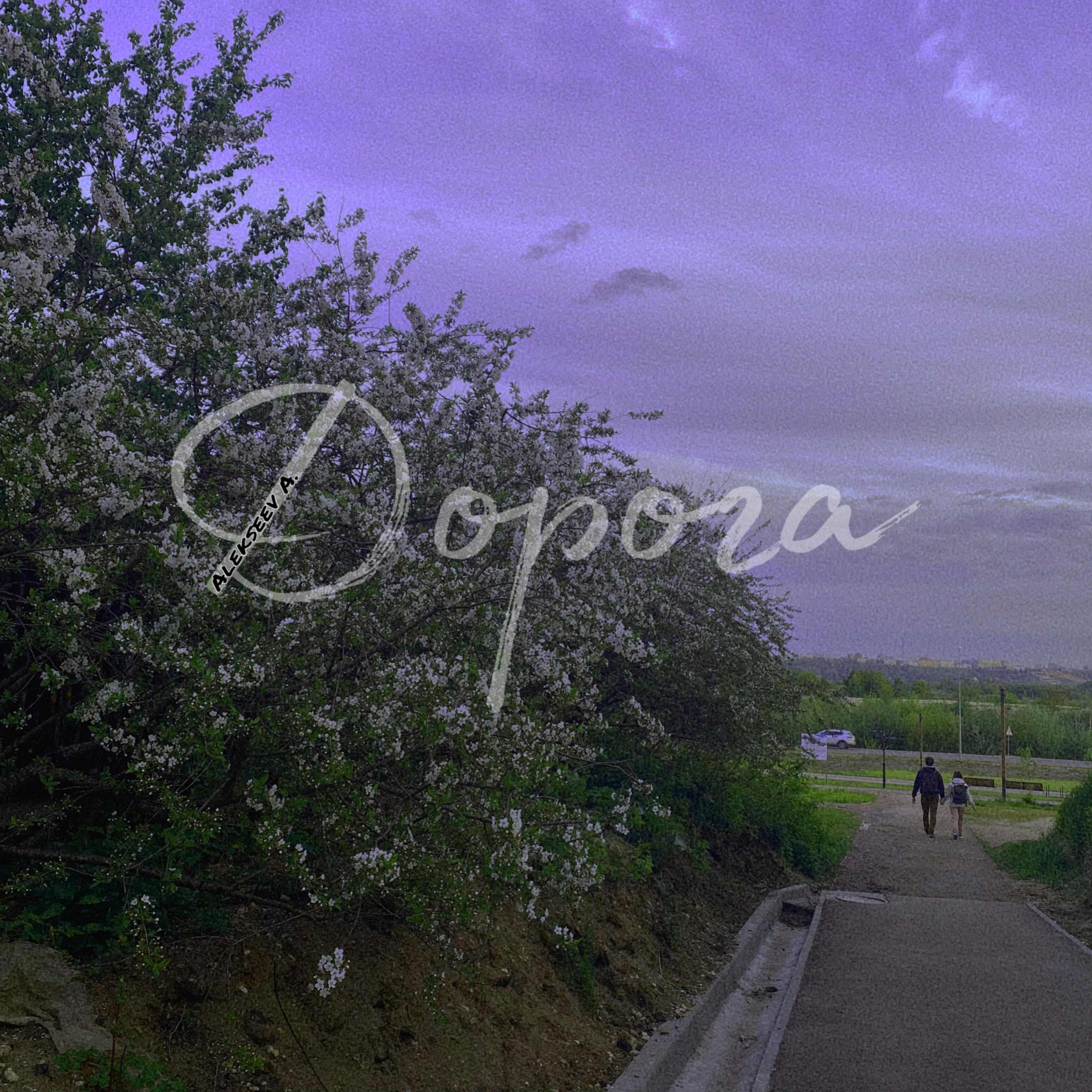 Track Image