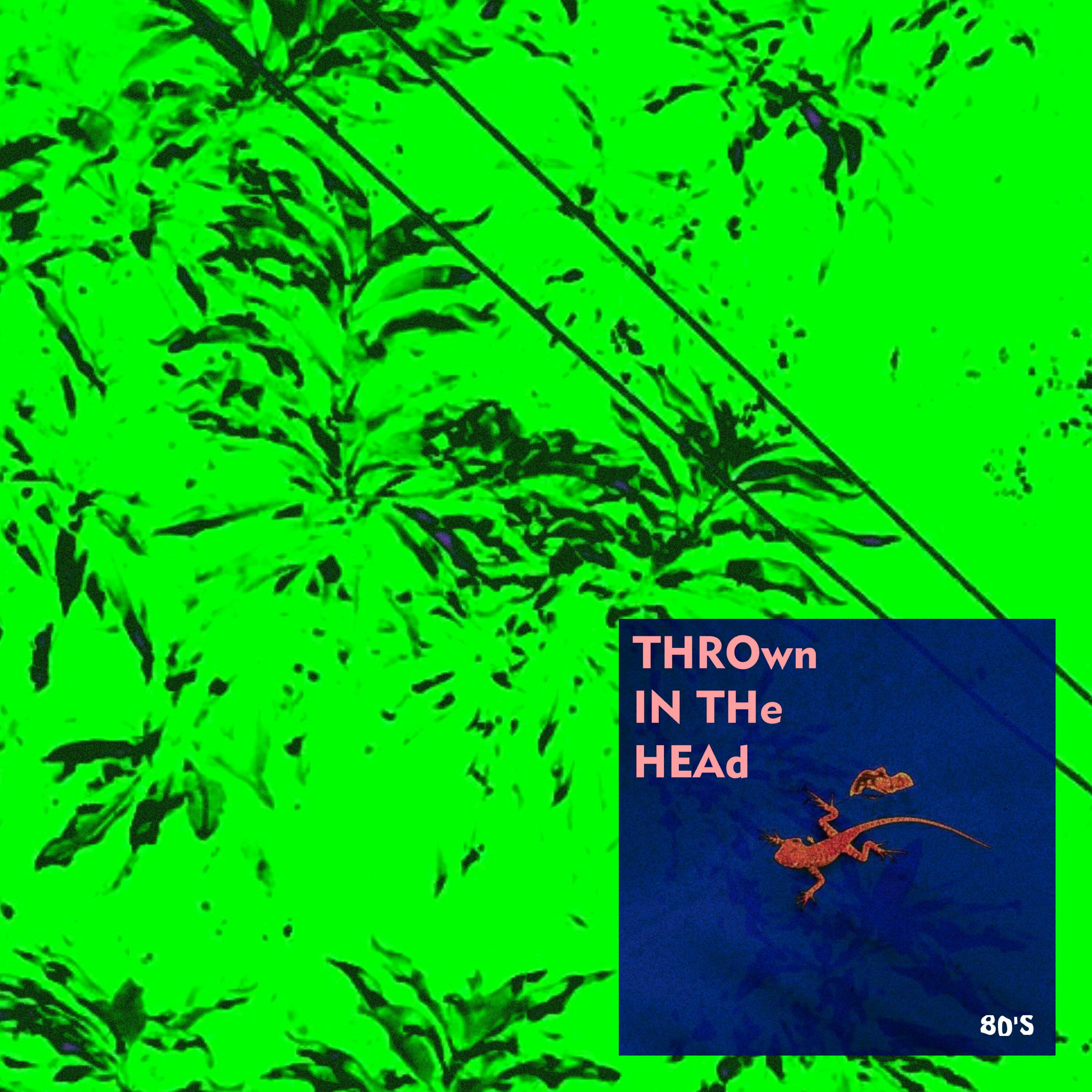 Track Image