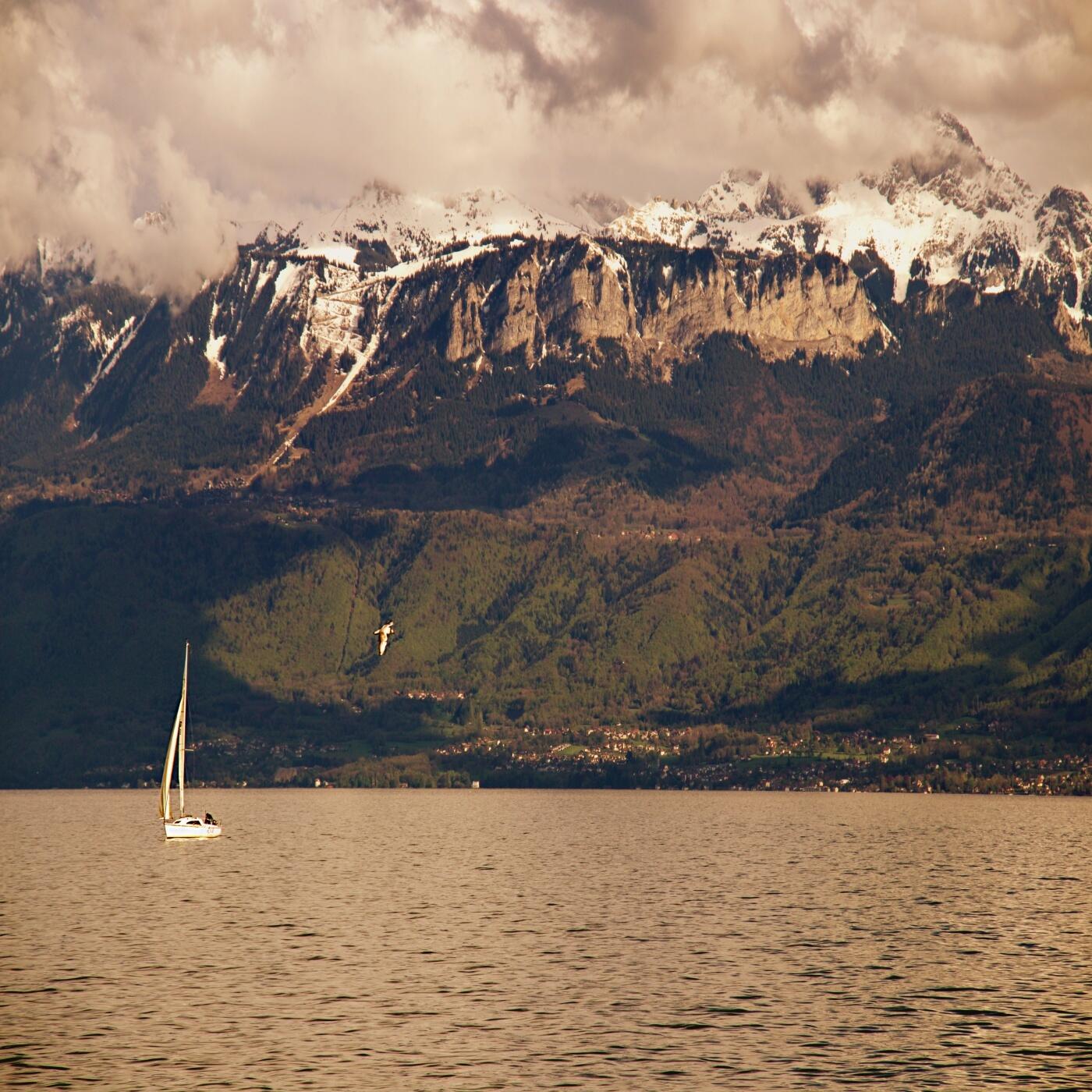 Track Image