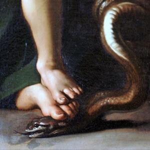 Track Image
