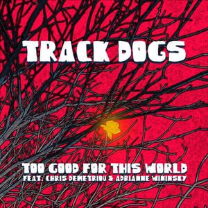 Track Image