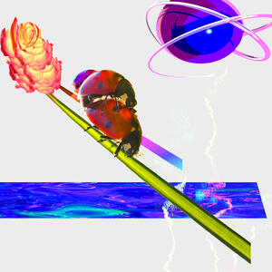 Track Image