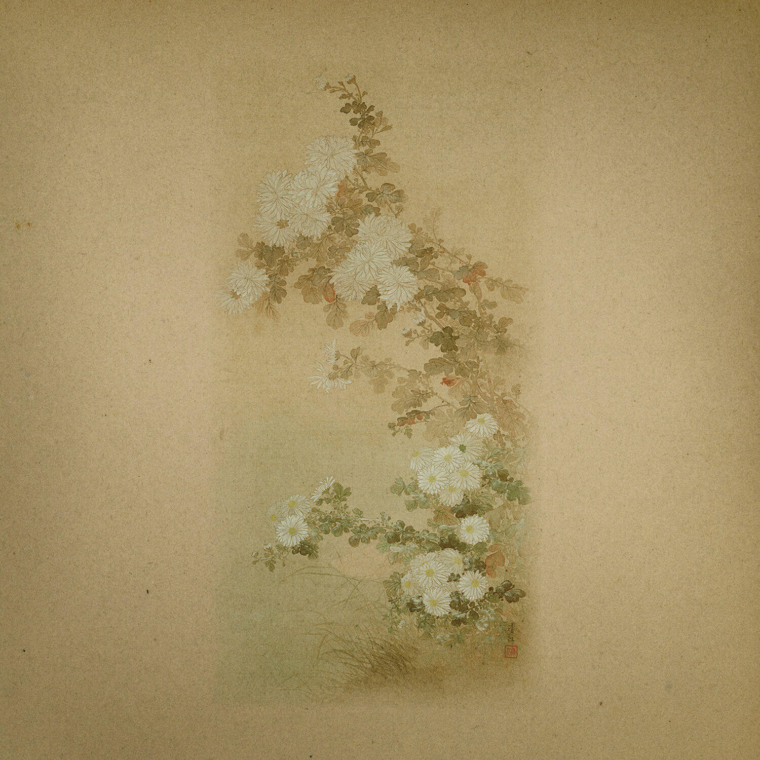 Track Image