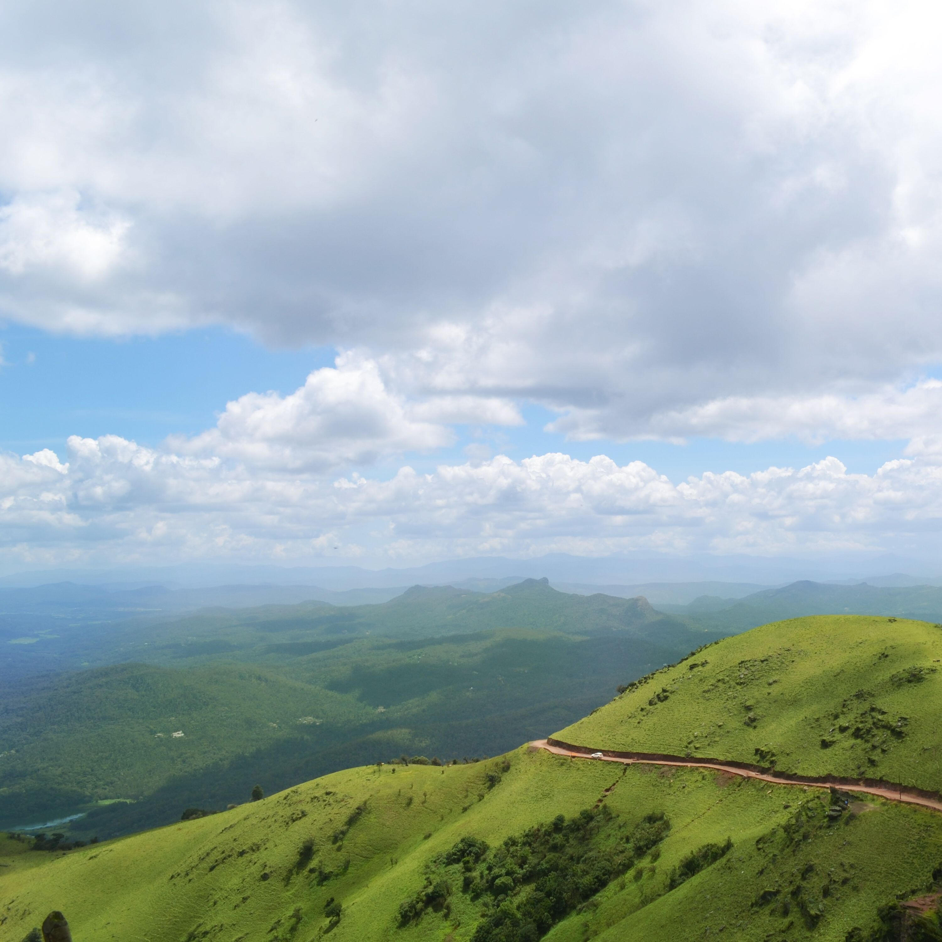 Track Image