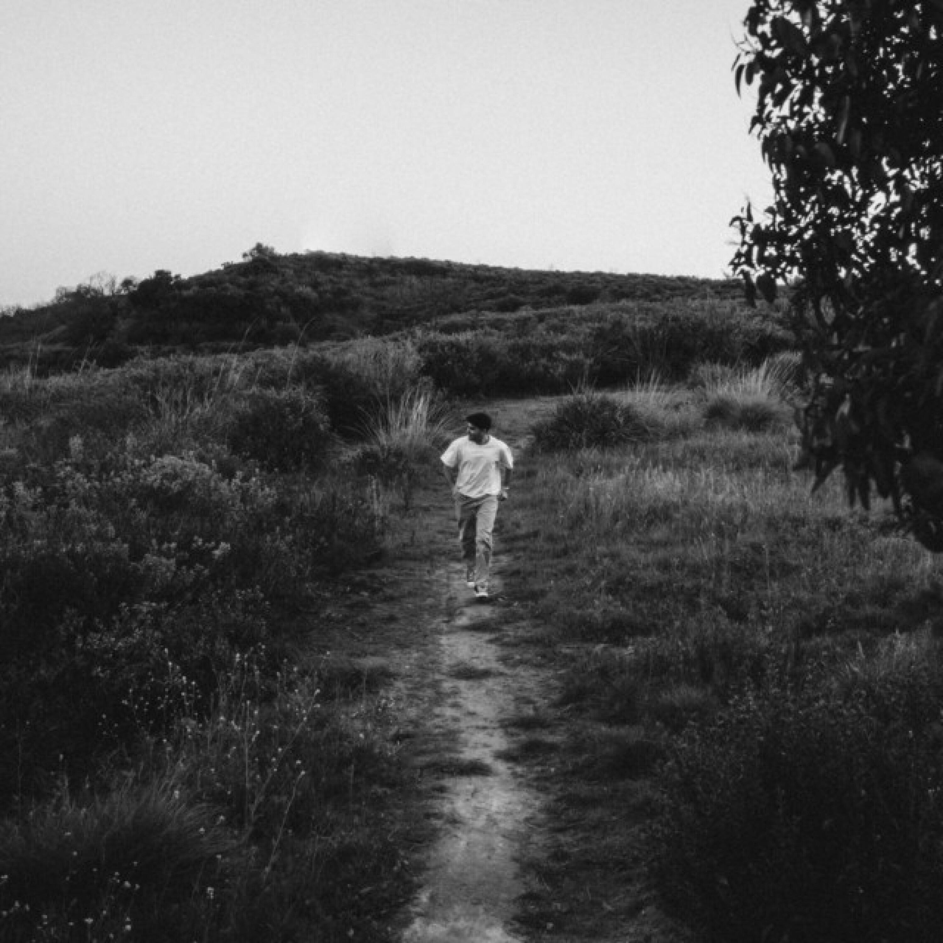 Track Image