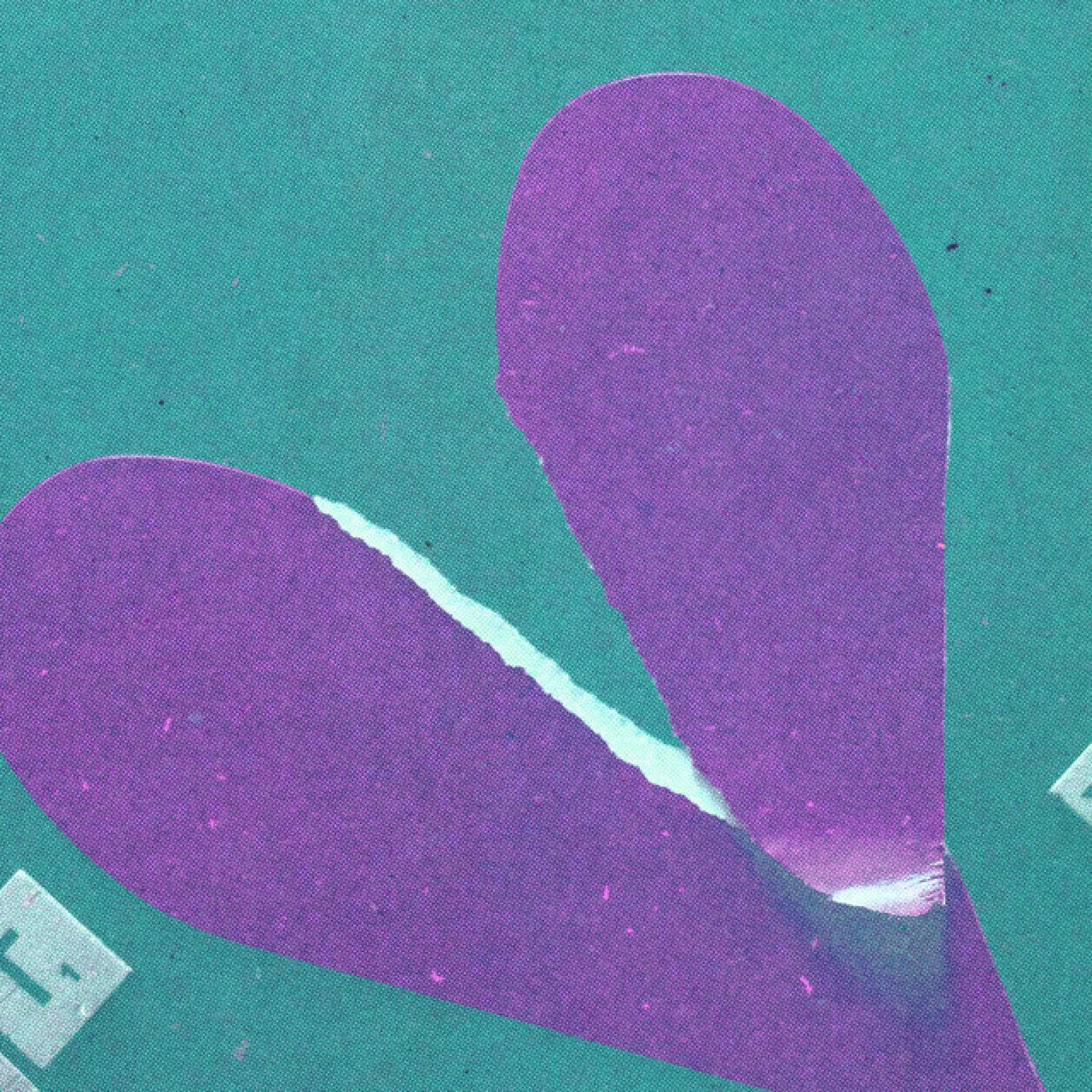 Track Image