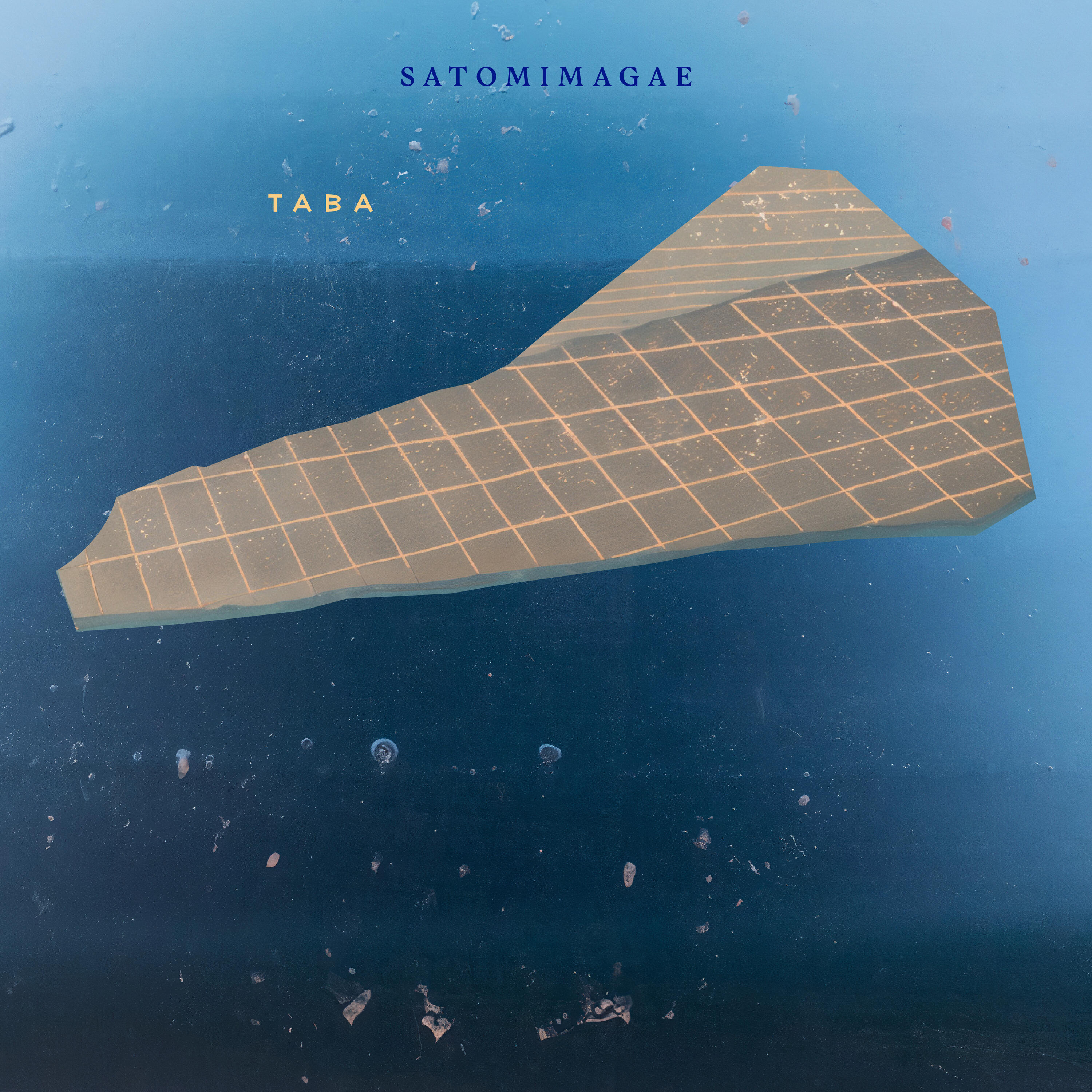 Track Image