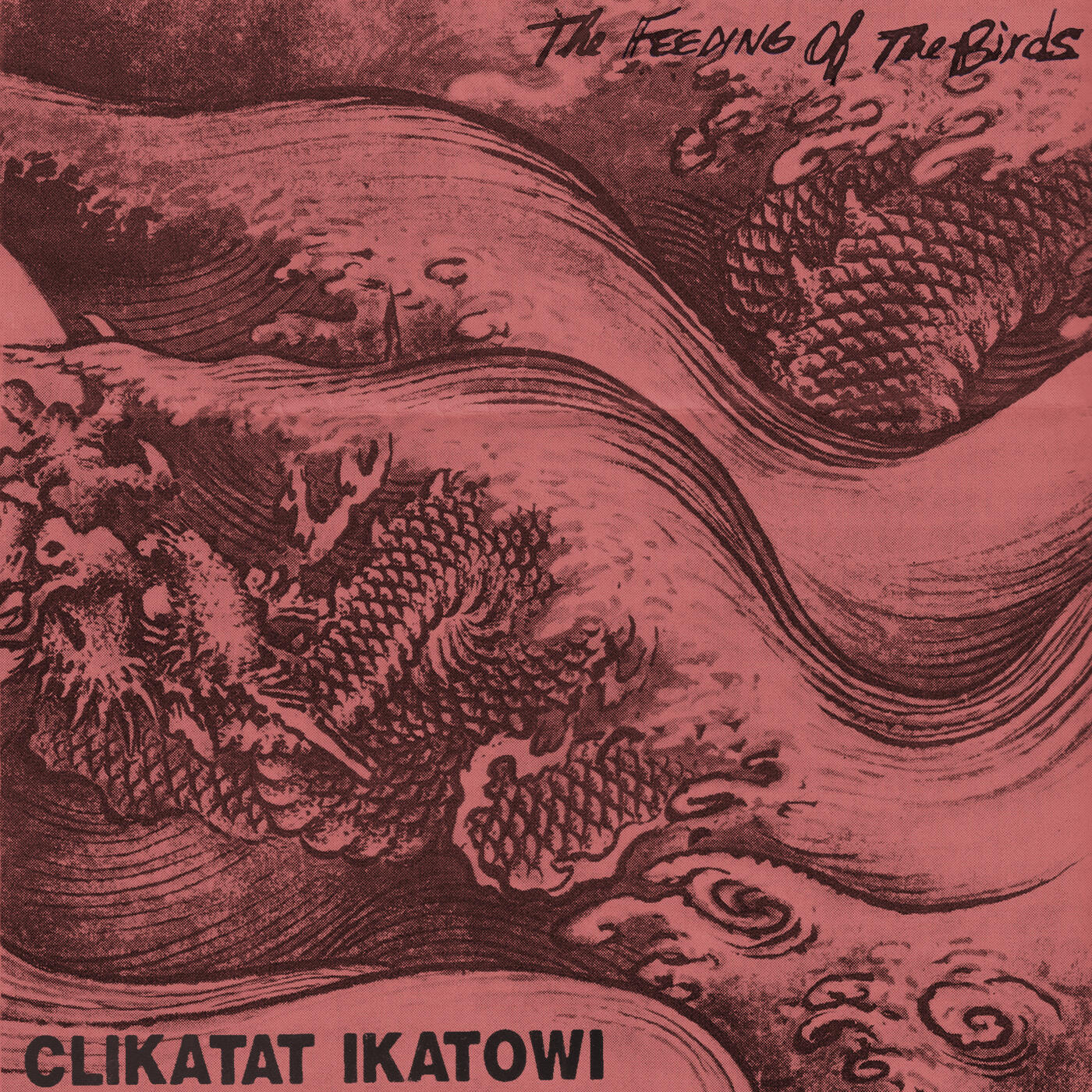Track Image