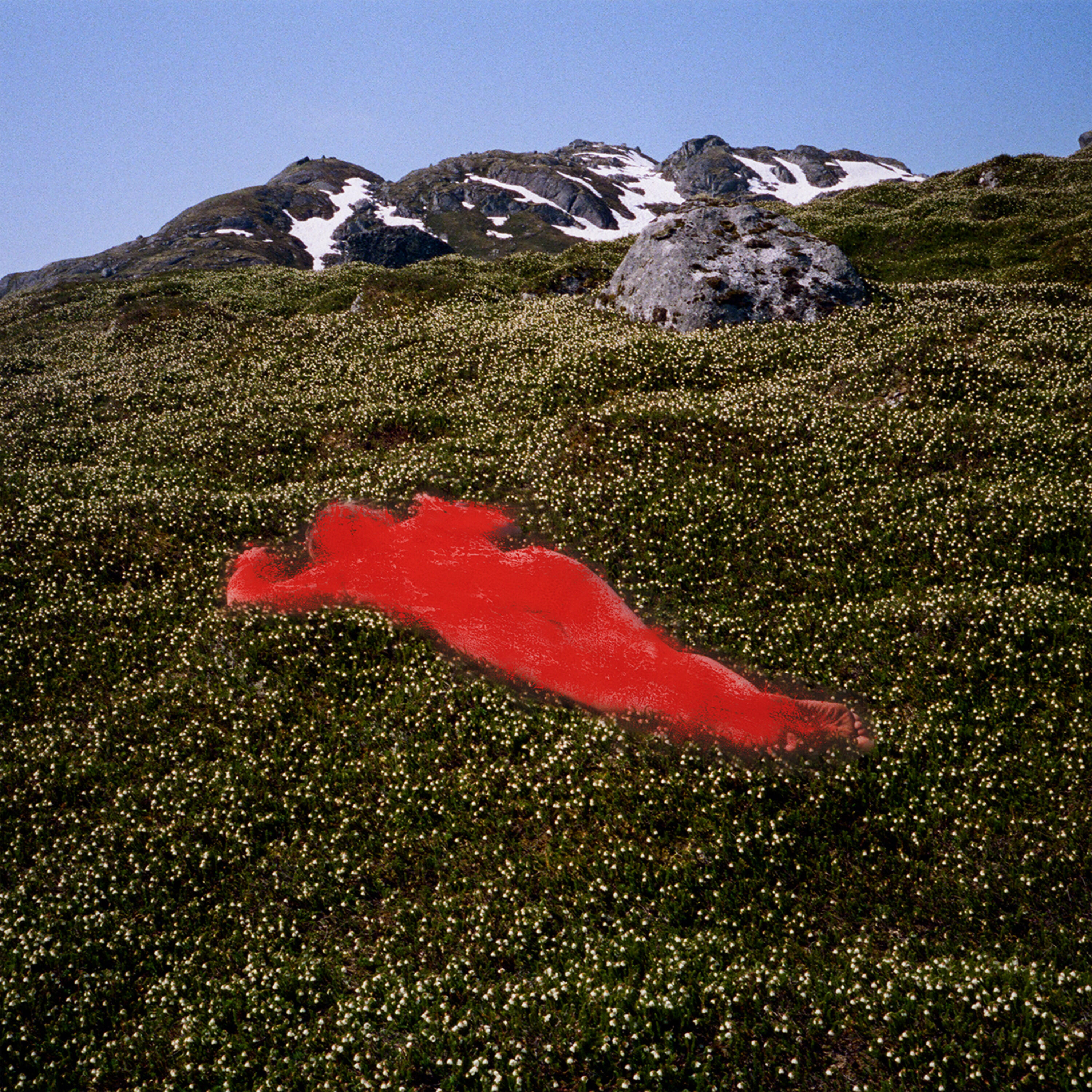 Track Image