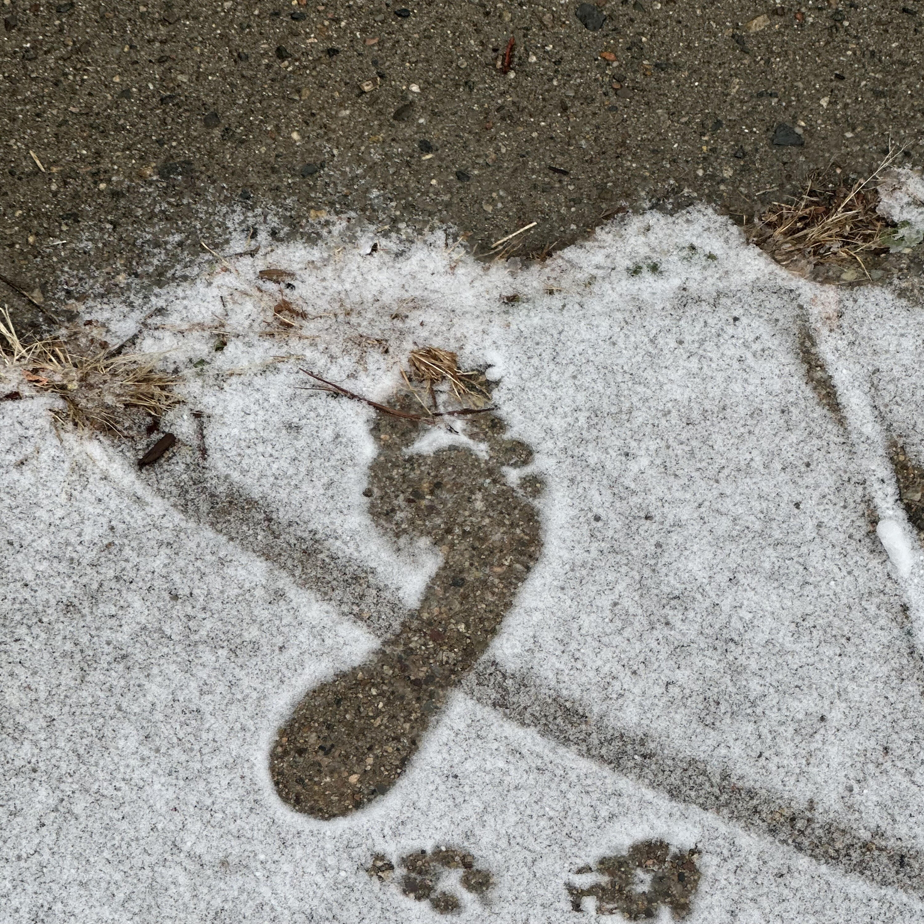 Track Image