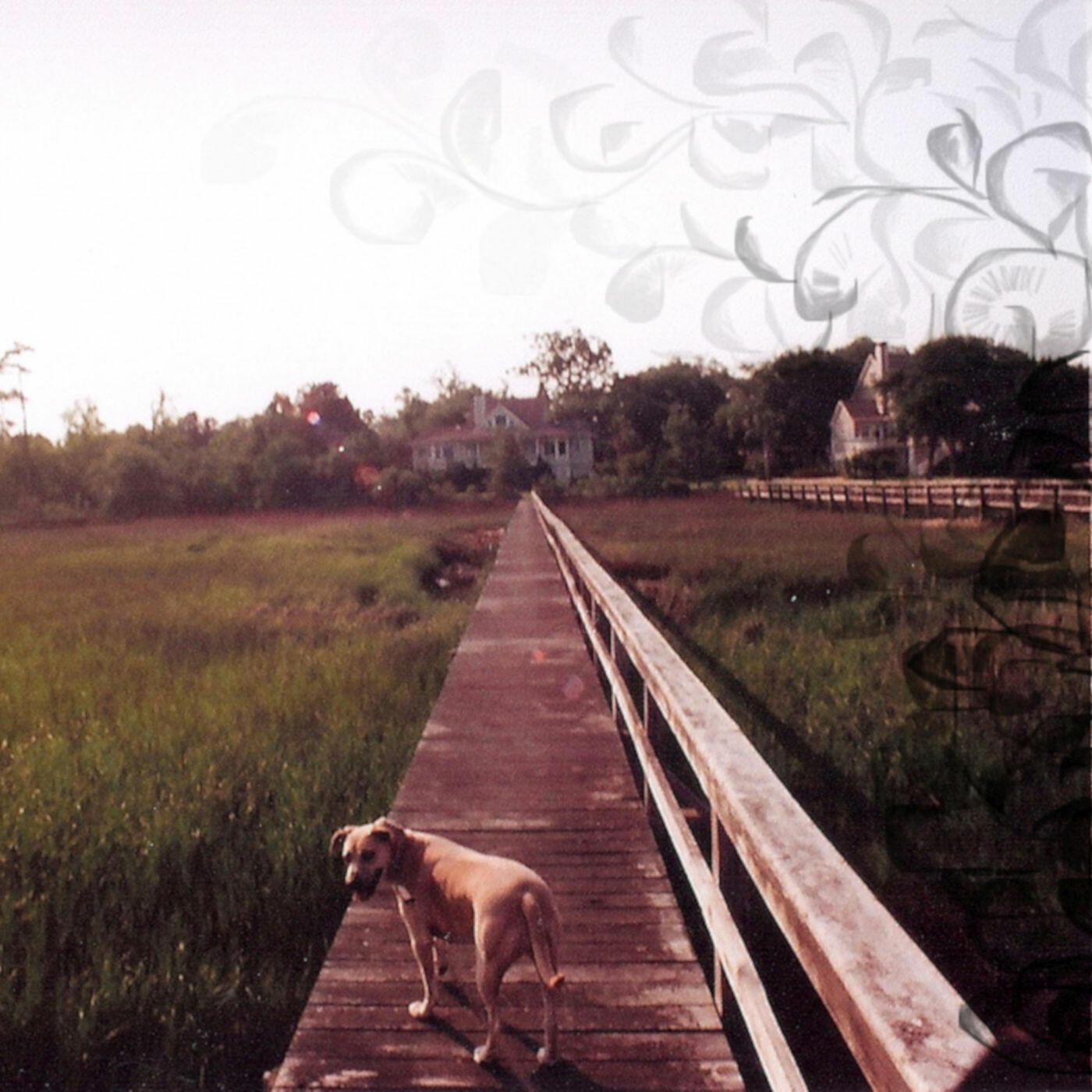 Track Image