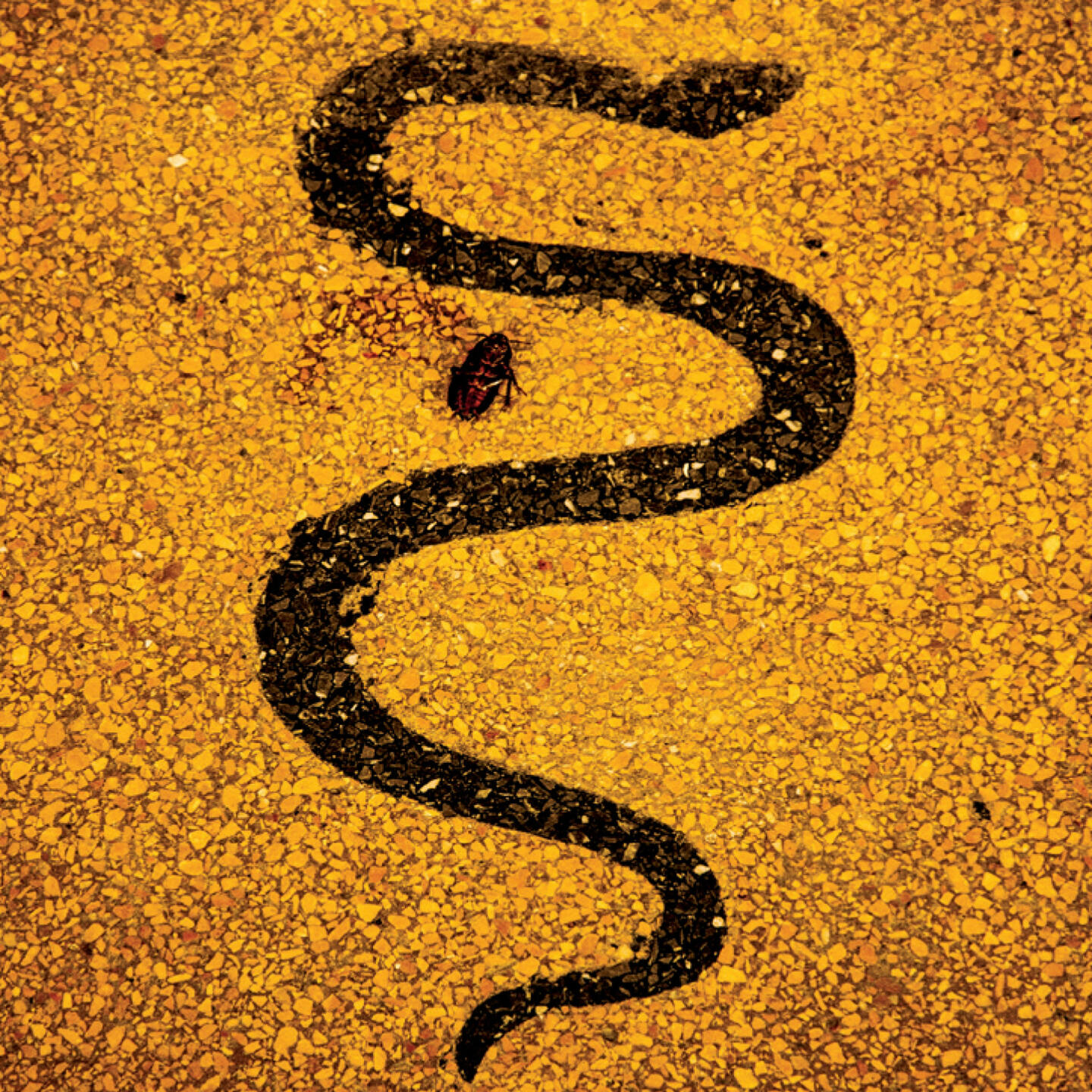 Track Image