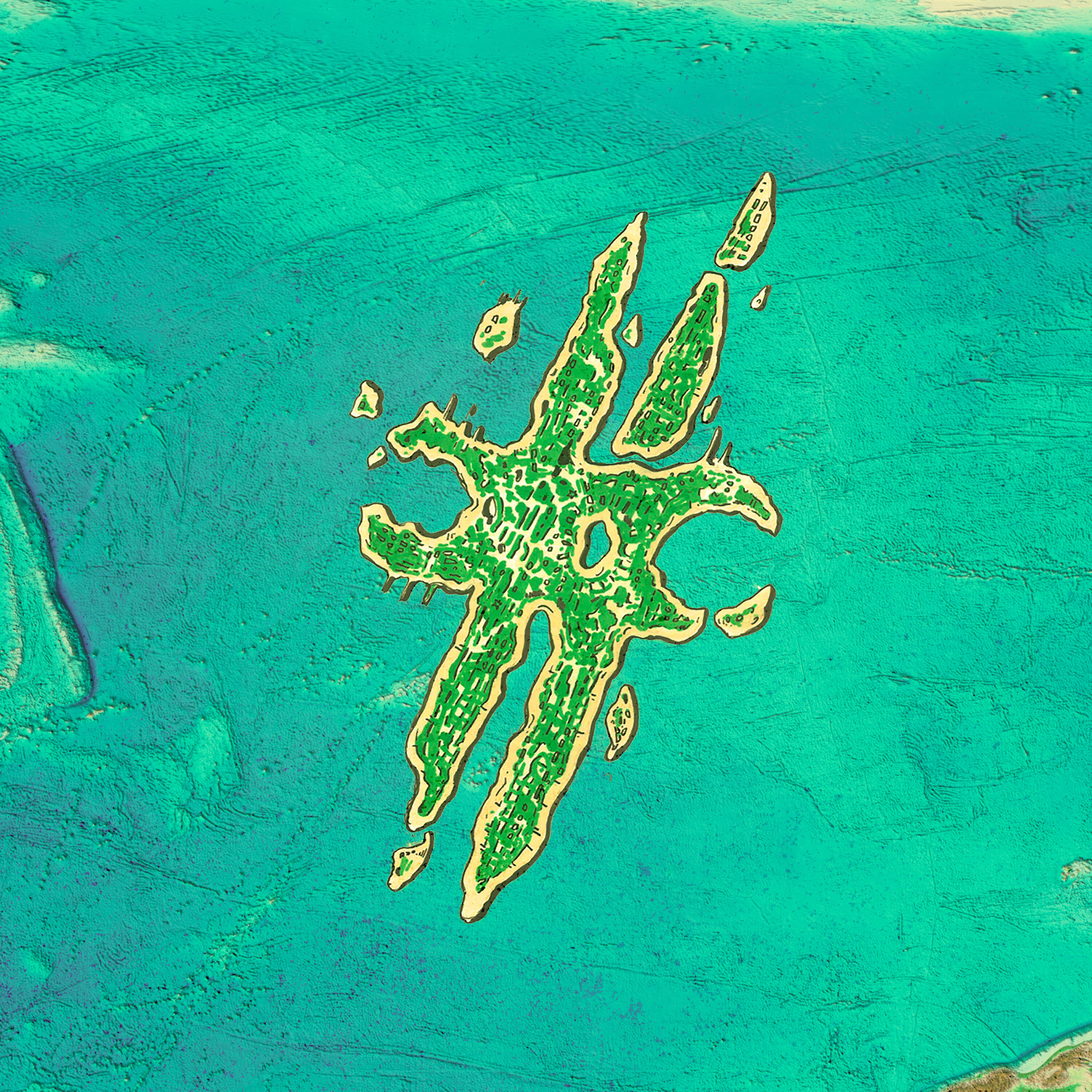Track Image