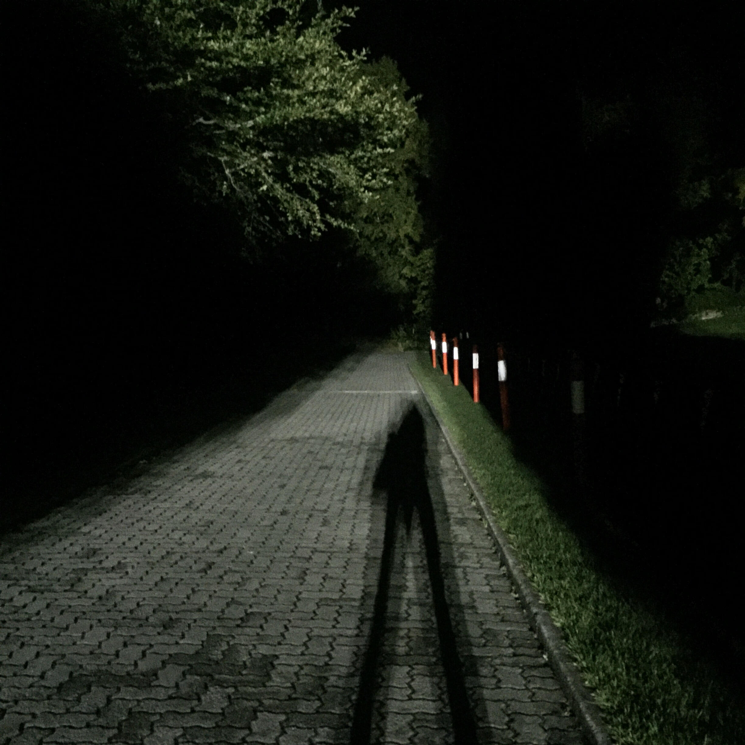 Track Image