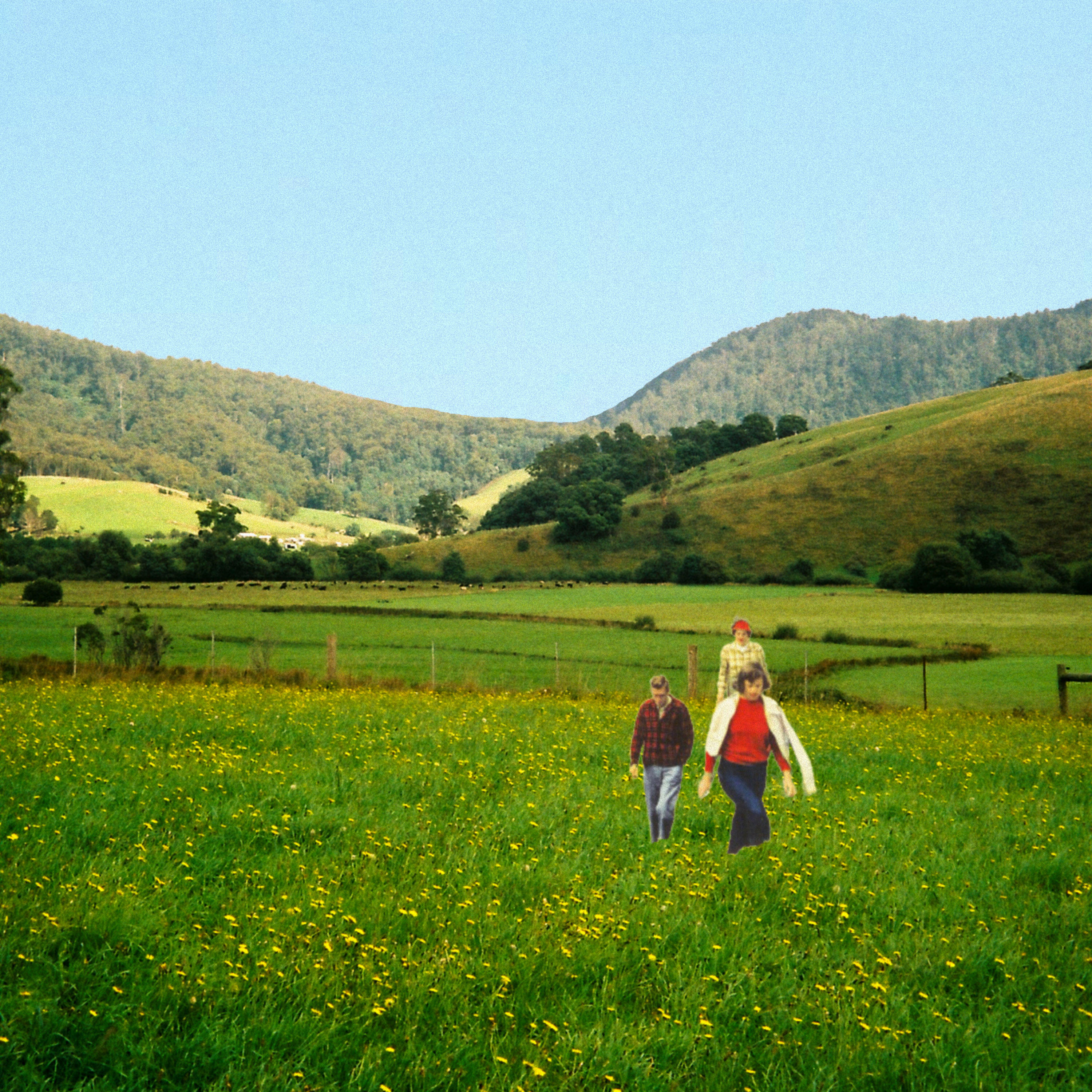 Track Image