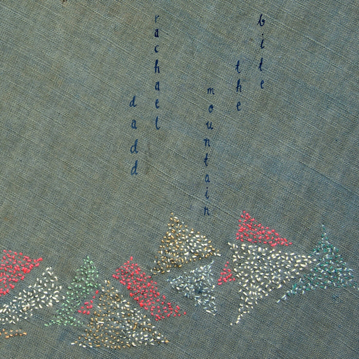 Track Image
