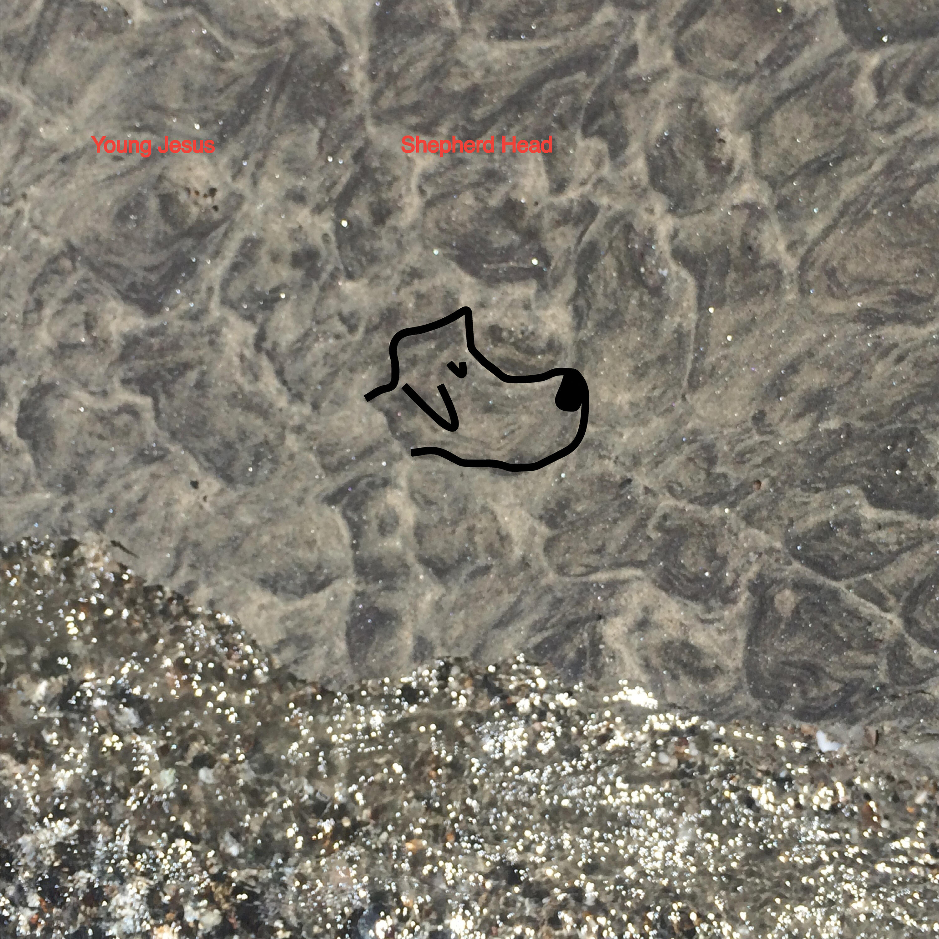 Track Image