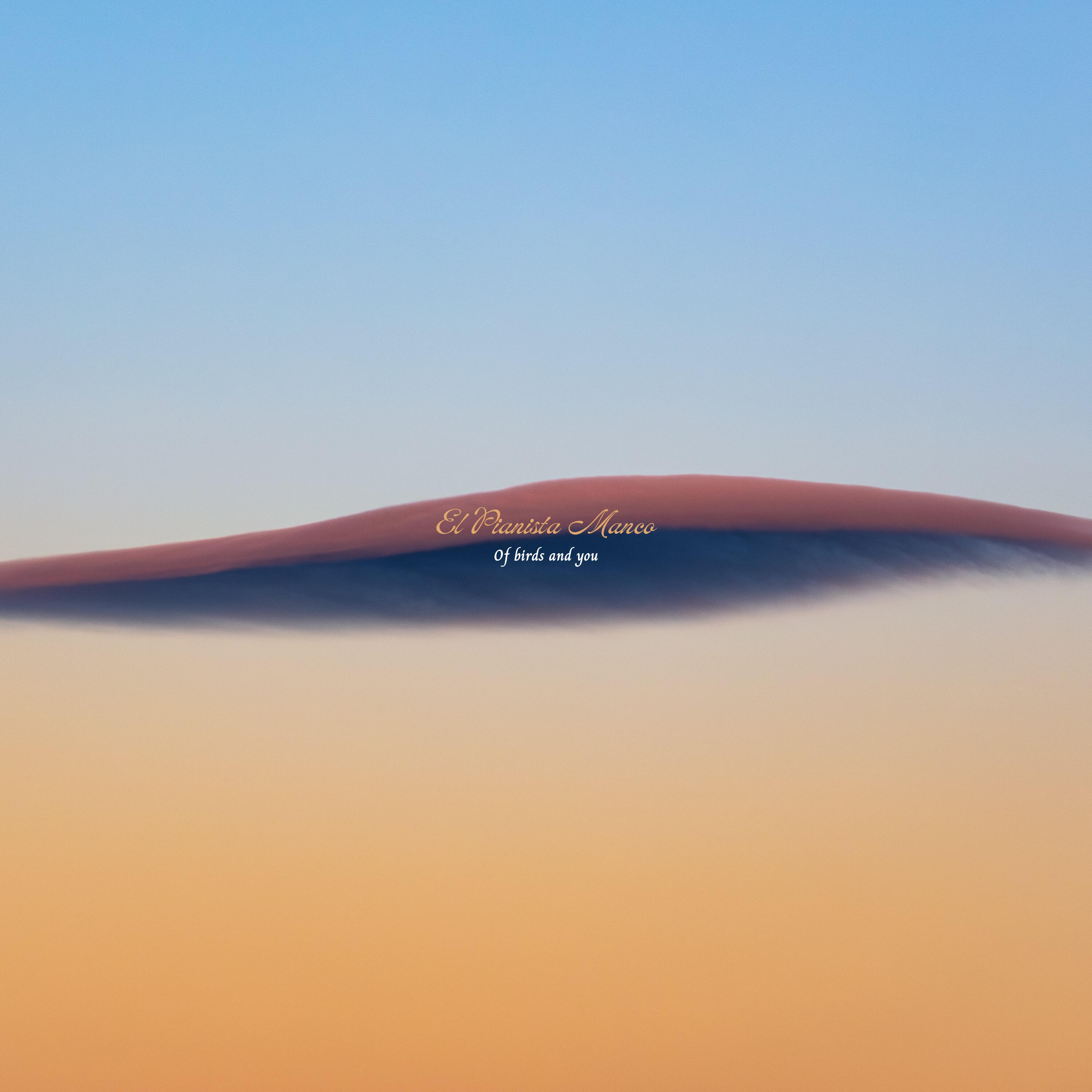 Track Image