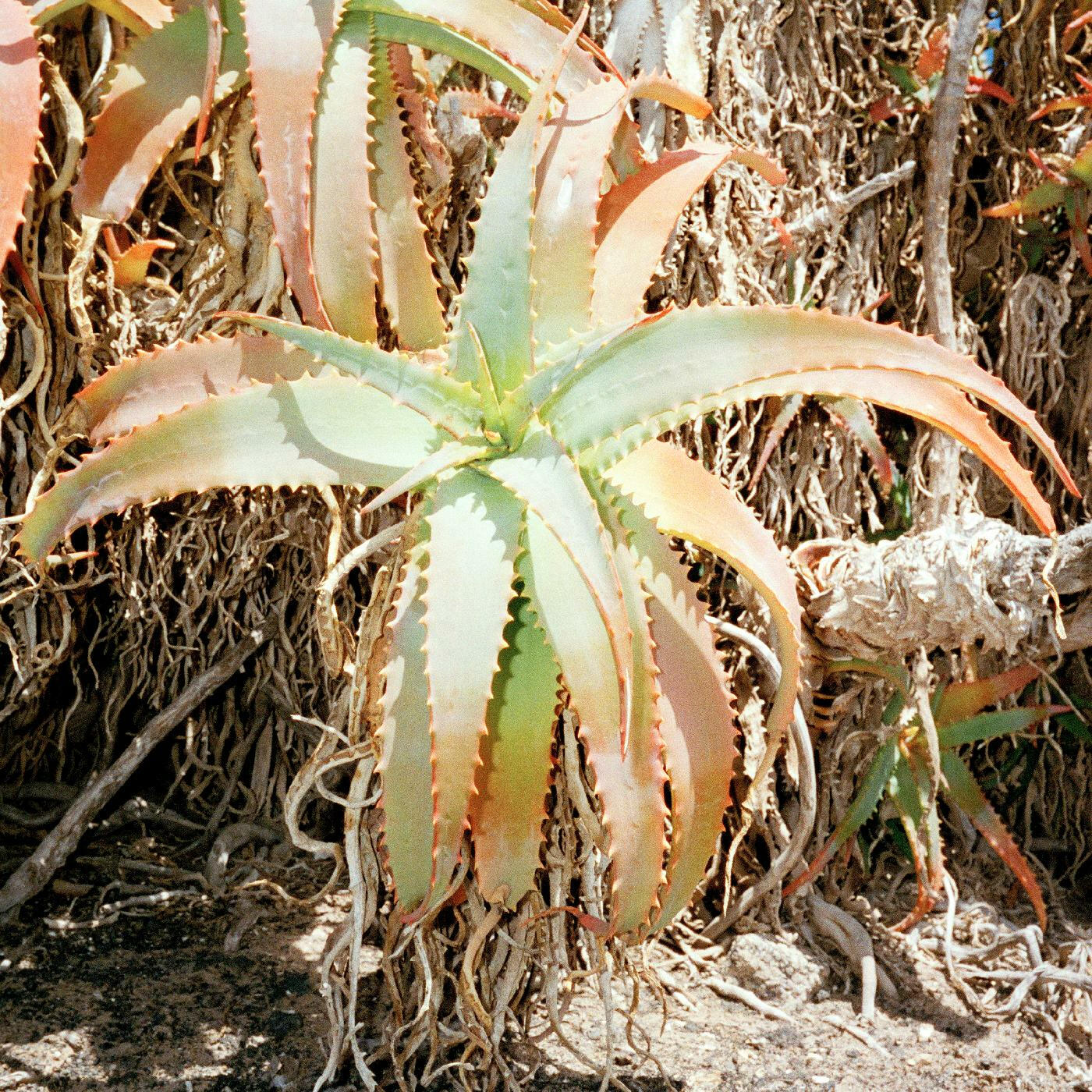 Track Image