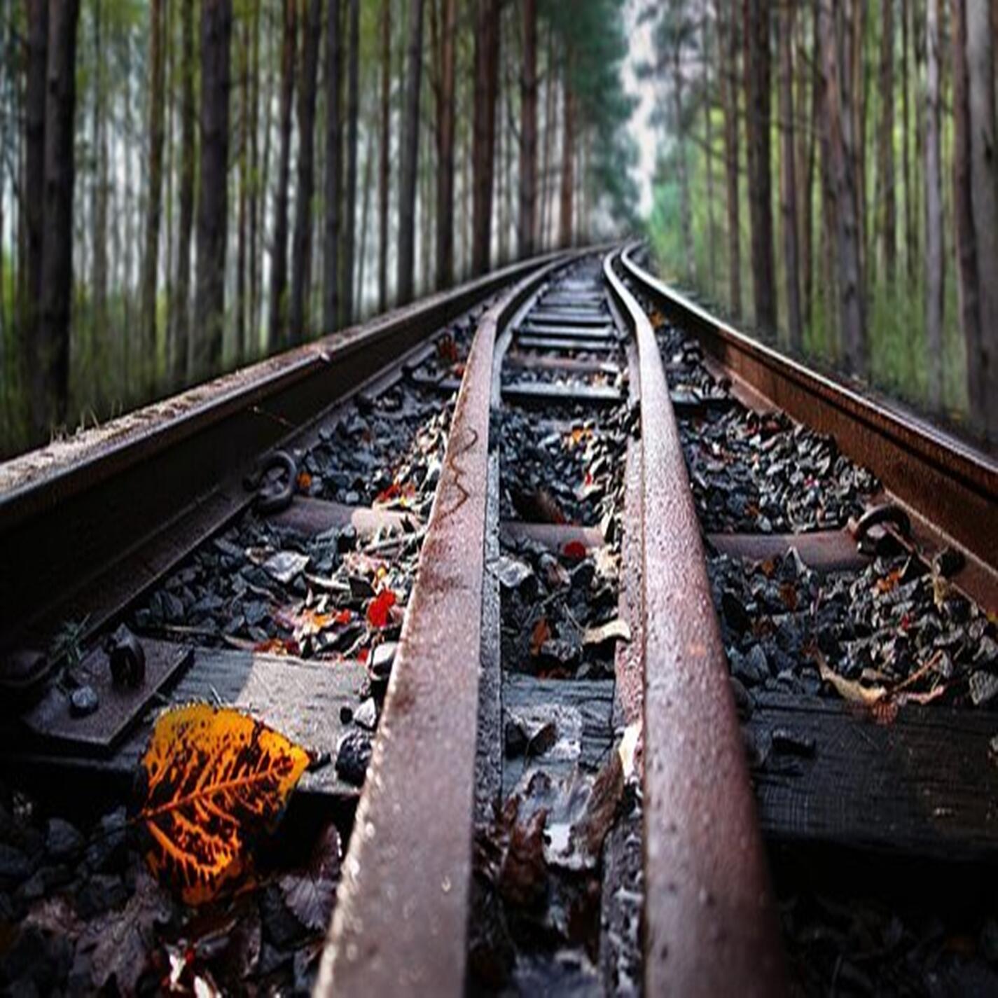 Track Image
