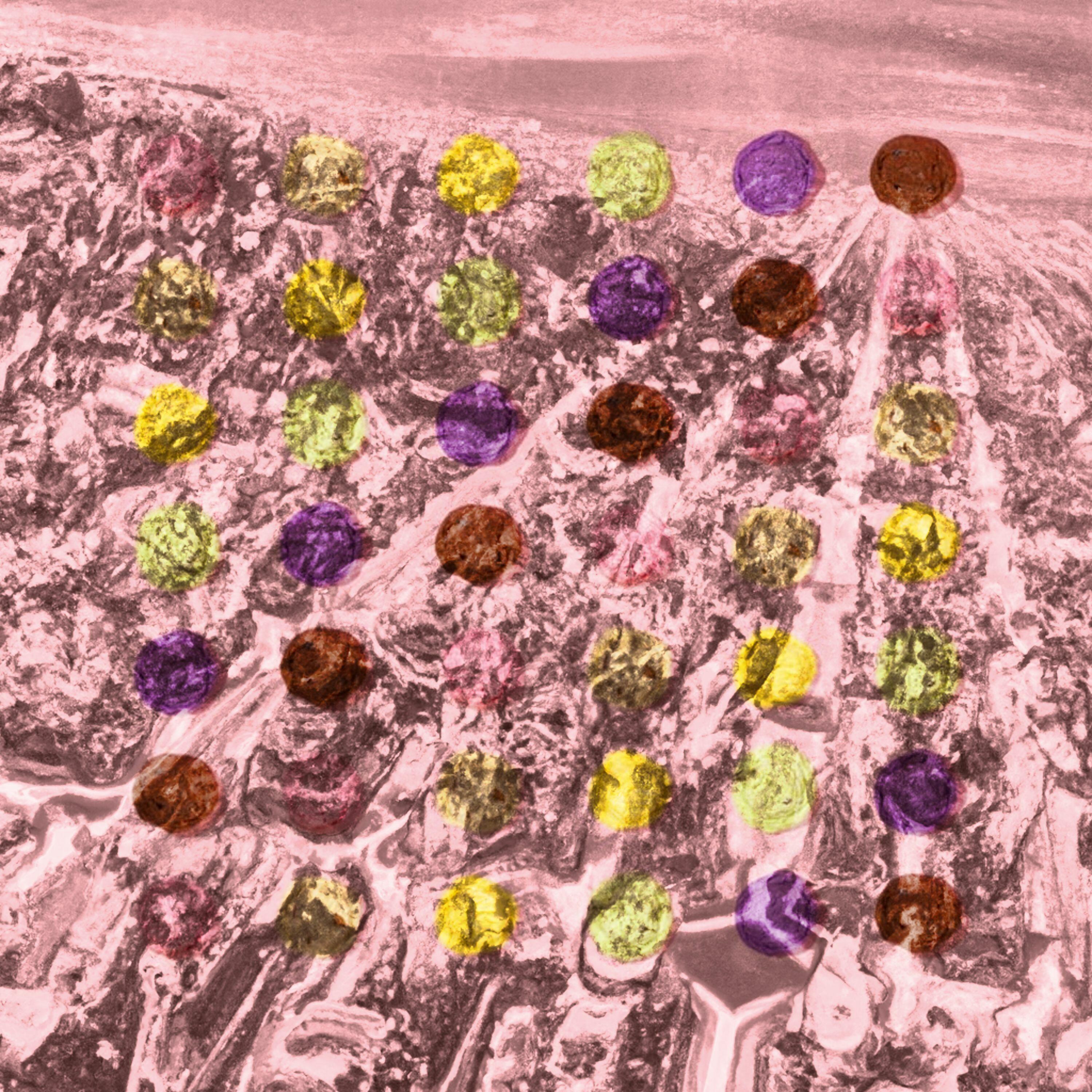 Track Image