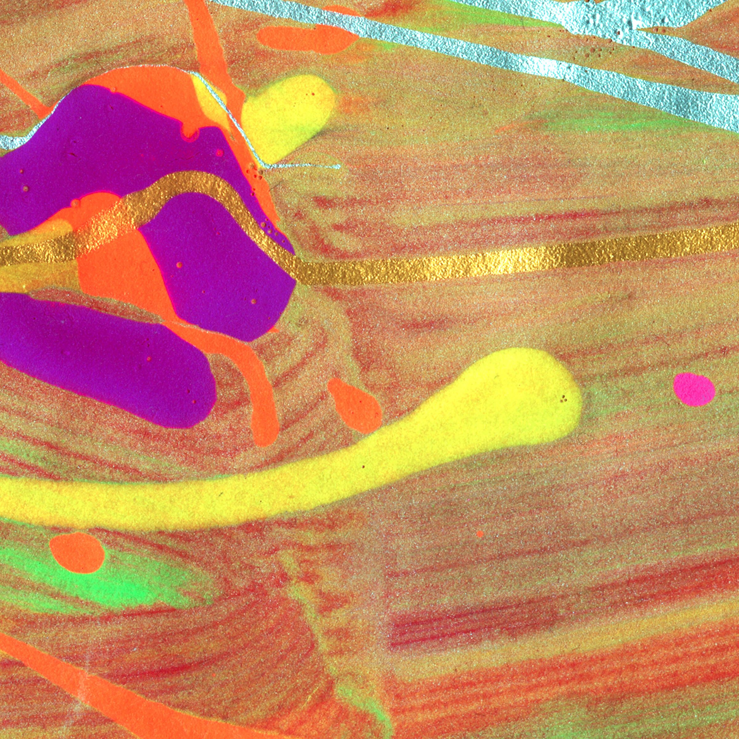 Track Image